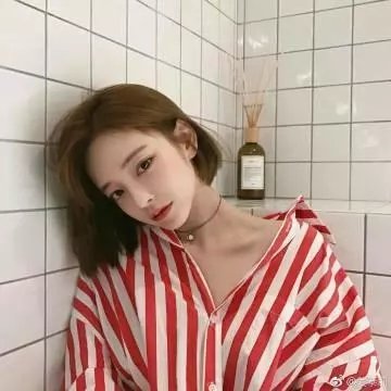 我和我的伙伴